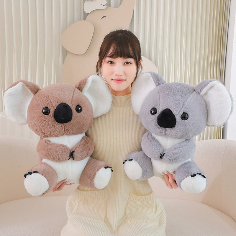 Australian Koala Koalas Soft Plush Toy | Magic Stories