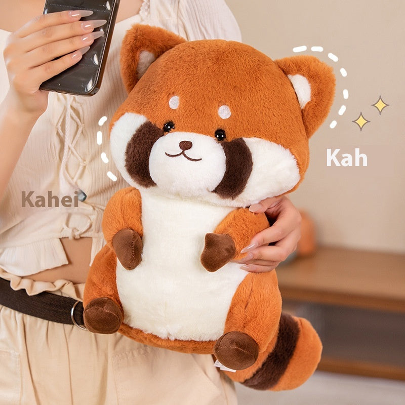 Cute Raccoon Plush Toy | Magic Stories