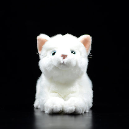 Cute Pure White Cat Plush Toy Cute | Magic Stories
