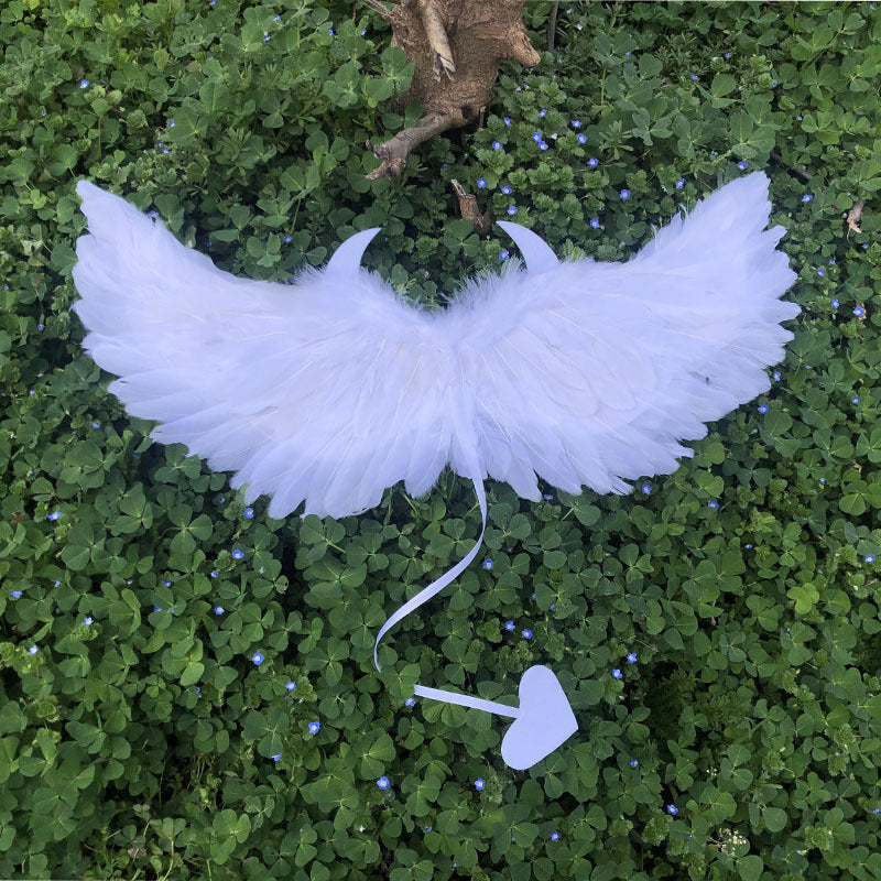 Halloween Party Makeup Costume Props Devil Angel Wings — detail