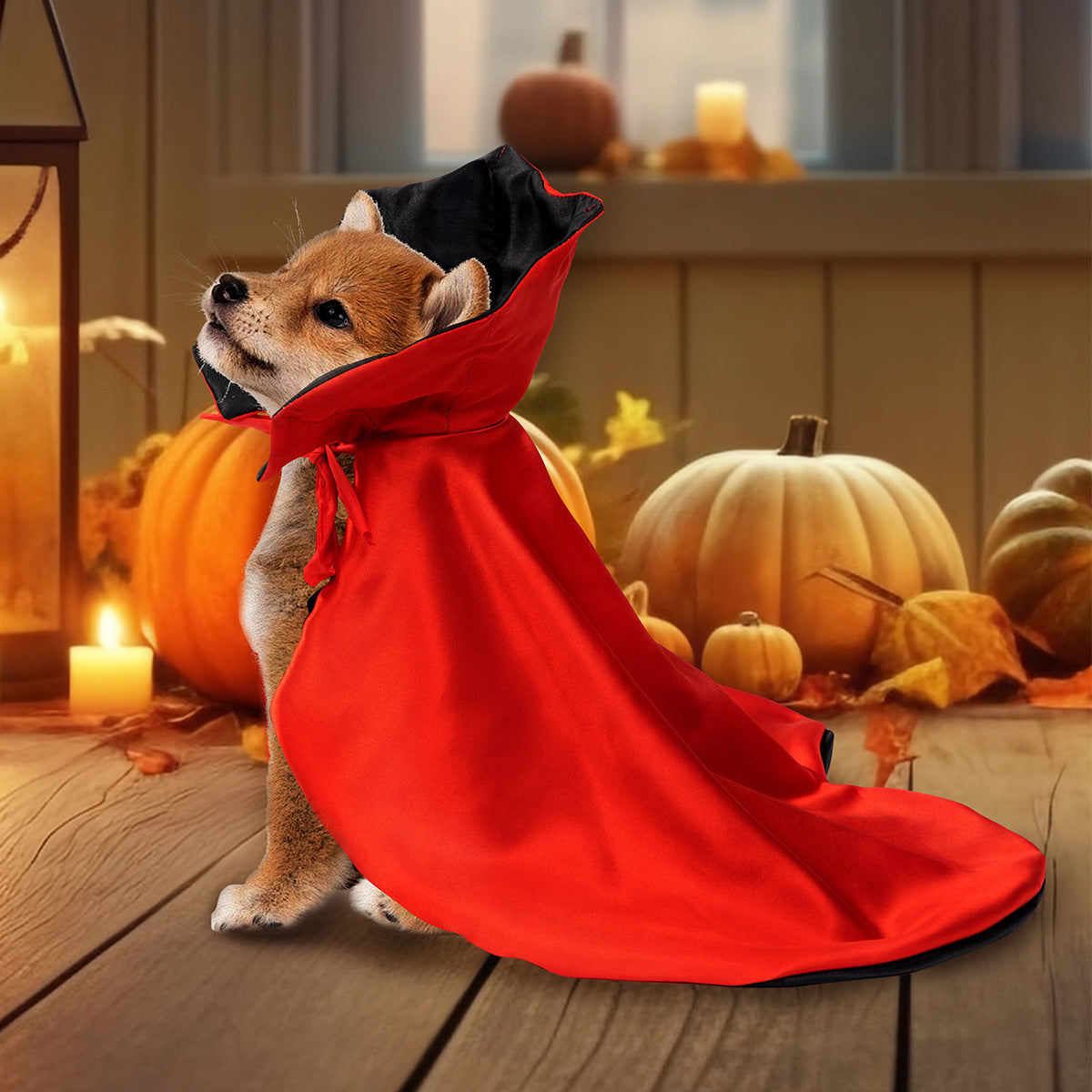 Pet Halloween 3-Piece — Pet Halloween Cloak, Cat & Dog Halloween Outfit and Pumpkin Pearl Collar Necklace