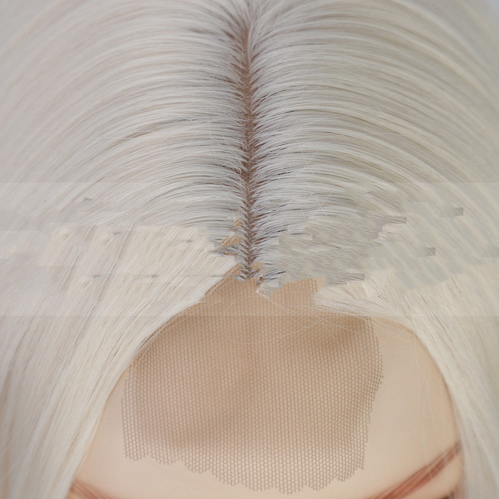 Long Lace Front Wig - Smooth Synthetic Cosplay Hair — scale reference