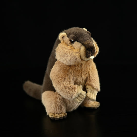 Squirrel Small Animal Plush Home Decoration | Magic Stories