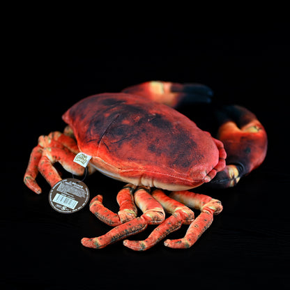 Simulated Plush Ginkgo Crab Plush Toy — scale reference
