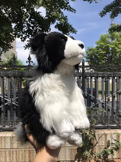 Border Collie Plush Toy | Magic Stories