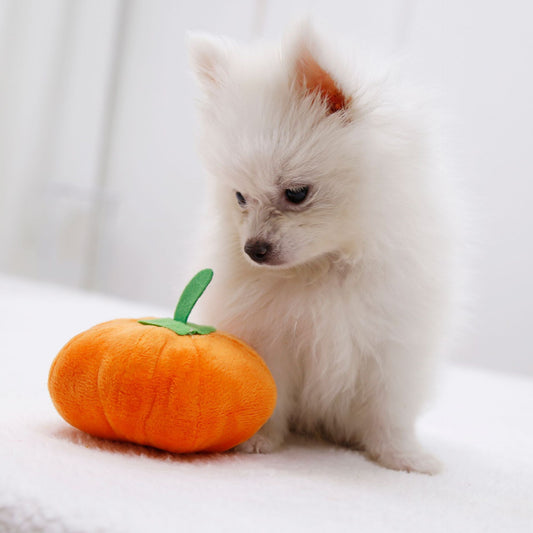 Dog Sounding Pumpkin Plush Toy | Magic Stories