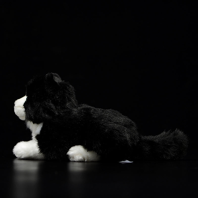 Cute Pure White Cat Plush Toy Cute | Magic Stories