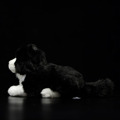 Cute Pure White Cat Plush Toy Cute | Magic Stories