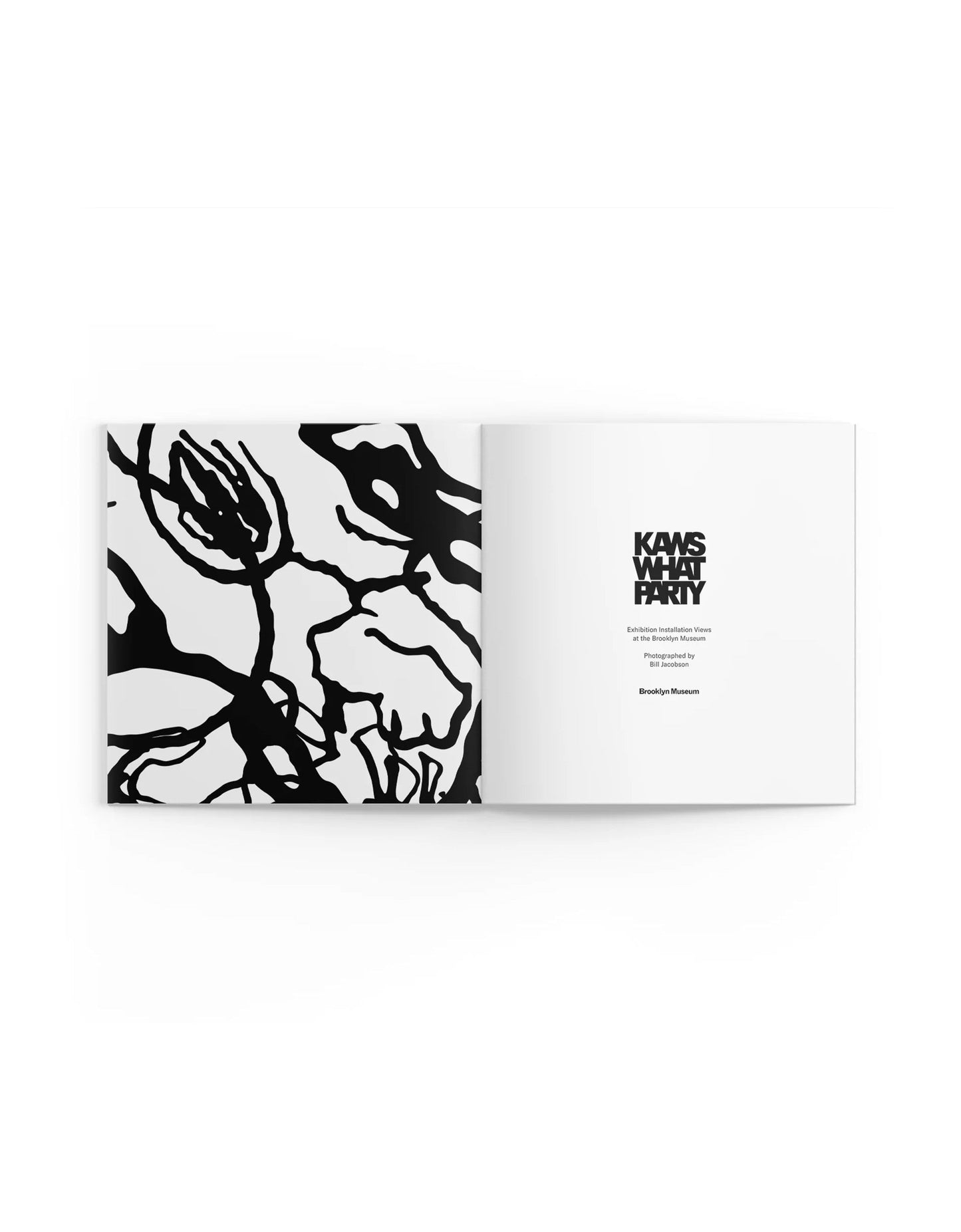 KAWS - What Party Booklet