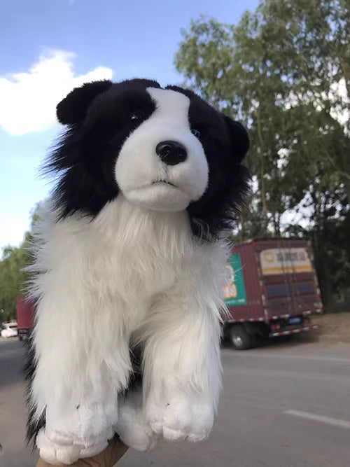 Border Collie Plush Toy | Magic Stories