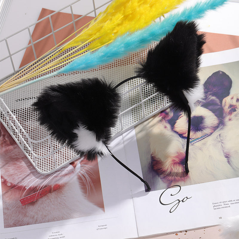 Cat Ear Band Cosplay Girl | Magic Stories