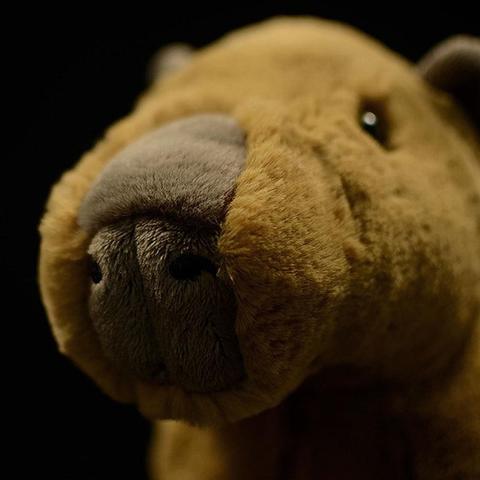 Simulation Capybara Plush Toy Doll | Magic Stories