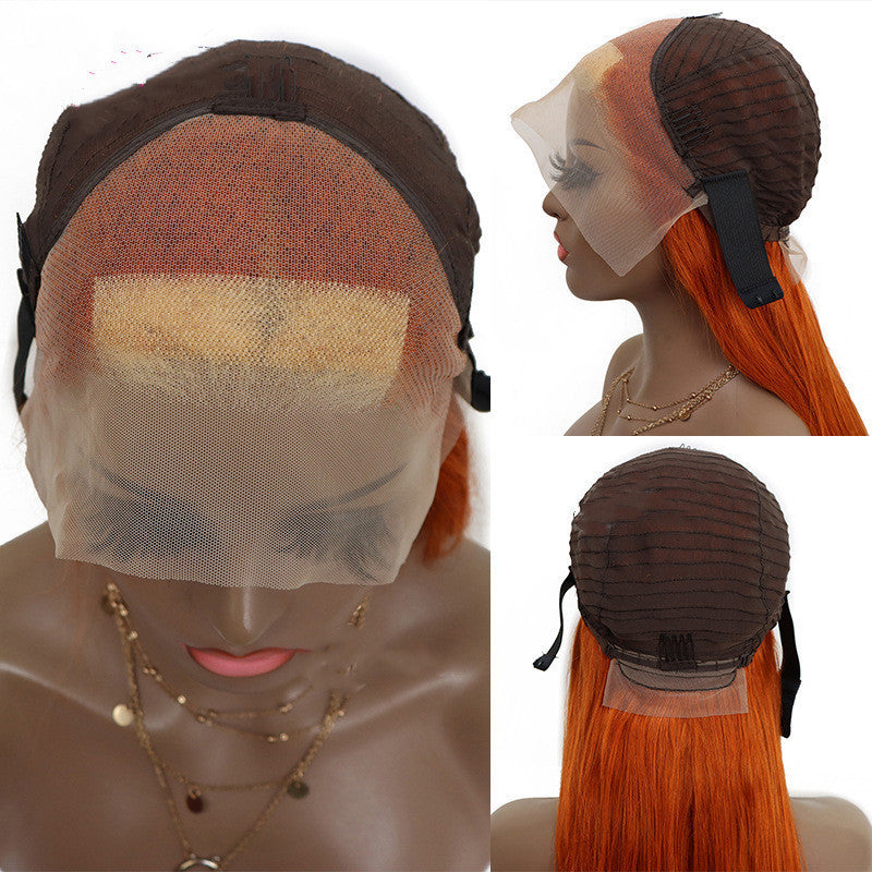 Front Lace Wig - #350 Highlights, Two-Tone Long Hair — detail