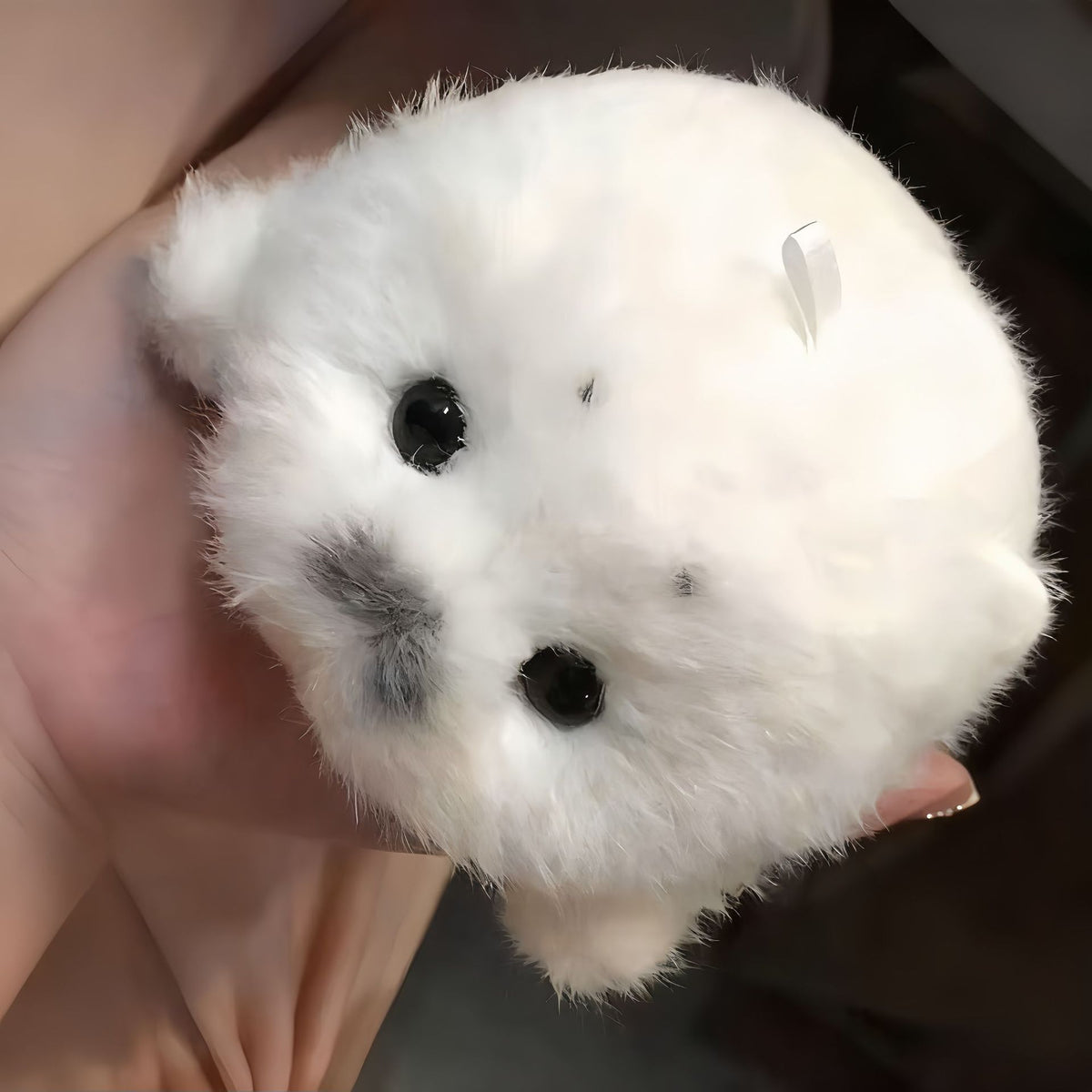 Cute Plush Seal Baby Seal Doll Keychain — side view