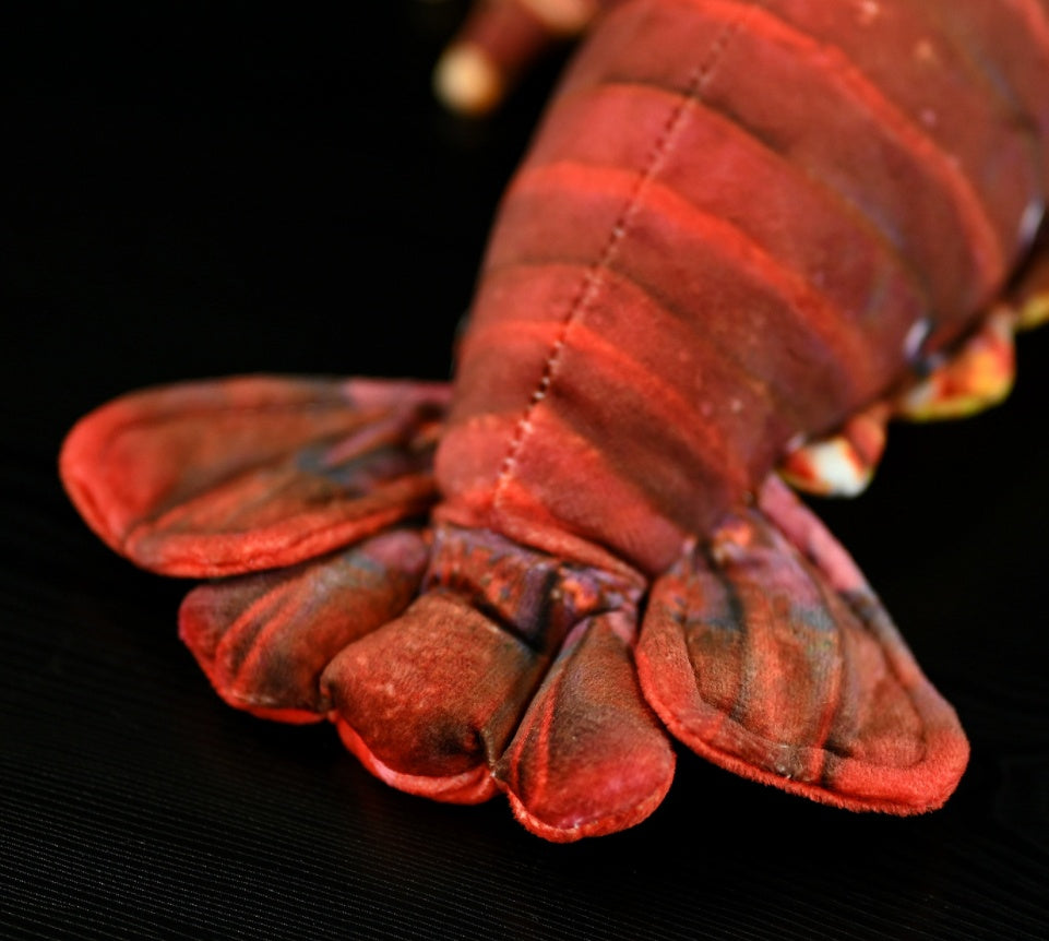 Cute Lobster Doll Plush Toy | Magic Stories