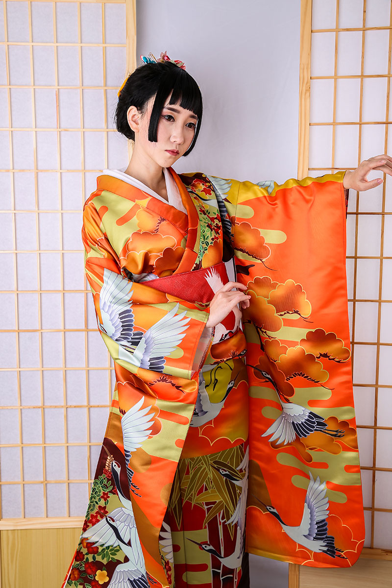 Auspicious Clouds And Cranes Jinxiutu Kimono Formal Dress — side view