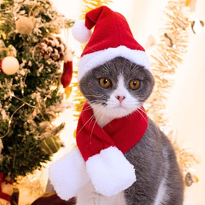 2-Piece Christmas Cat Costume Set, Festive | Magic Stories