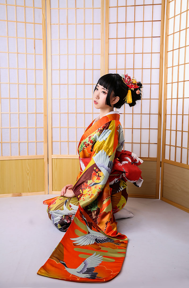 Auspicious Clouds And Cranes Jinxiutu Kimono Formal Dress — packaging