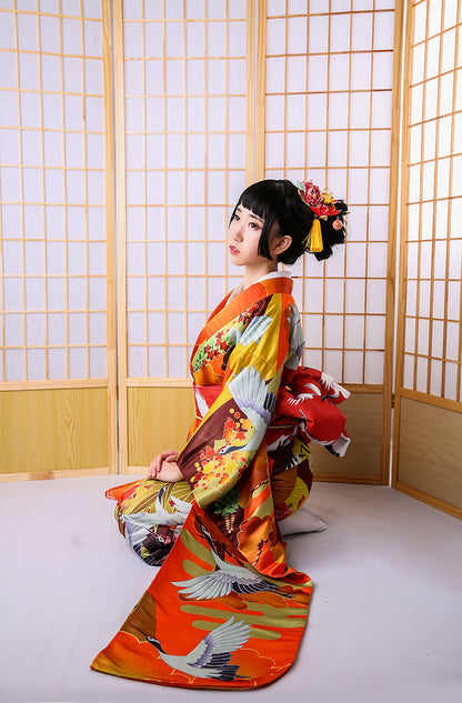 Auspicious Clouds And Cranes Jinxiutu Kimono Formal Dress — packaging