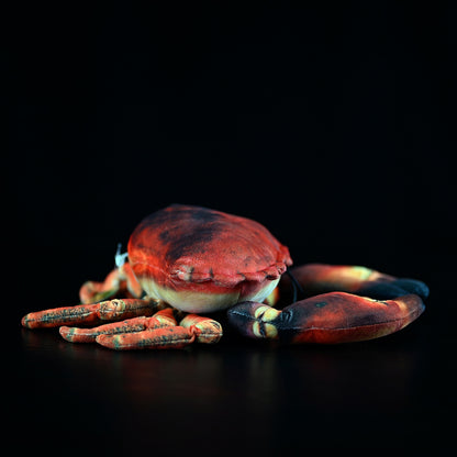 Simulated Plush Ginkgo Crab Plush Toy — packaging