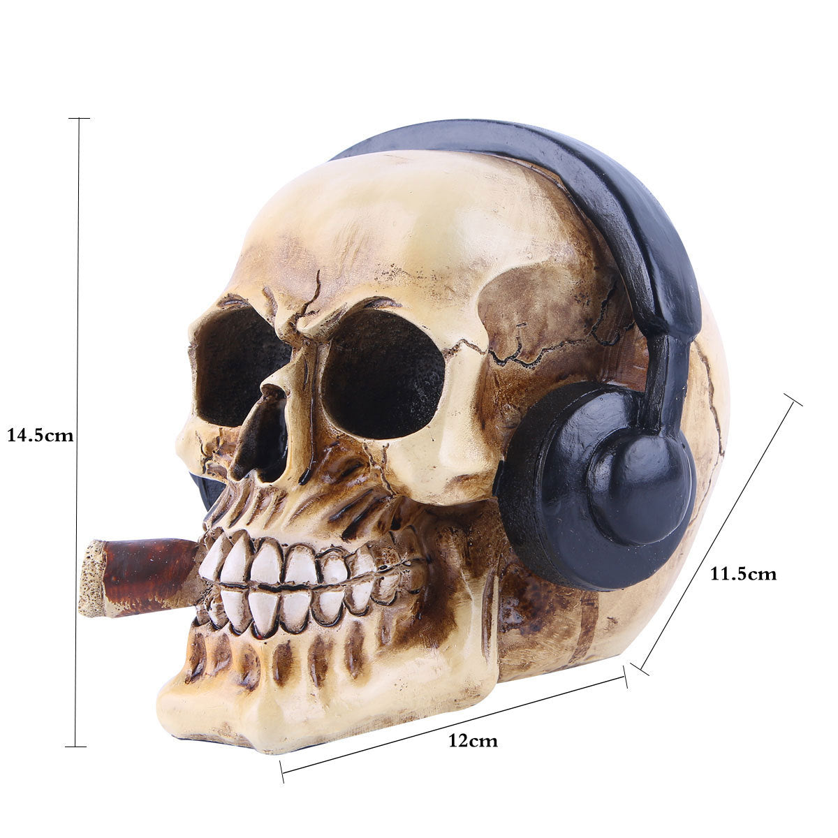 Resin Skull Artifact Halloween Trick Prop — scale reference