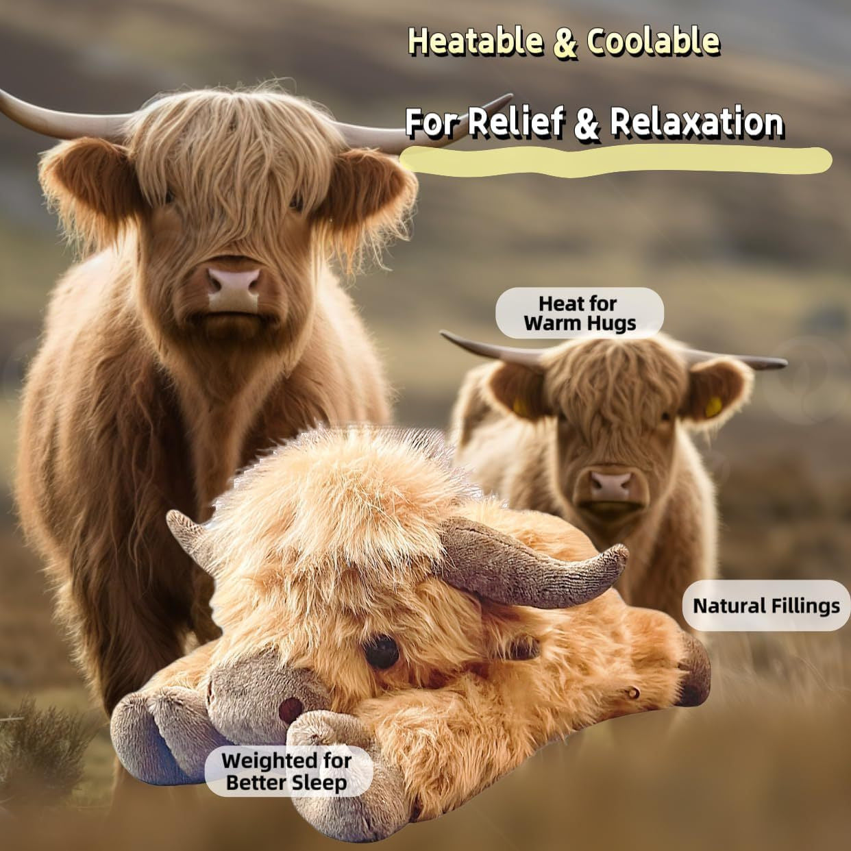 Creative Cartoon Household Highland Cow | Magic Stories