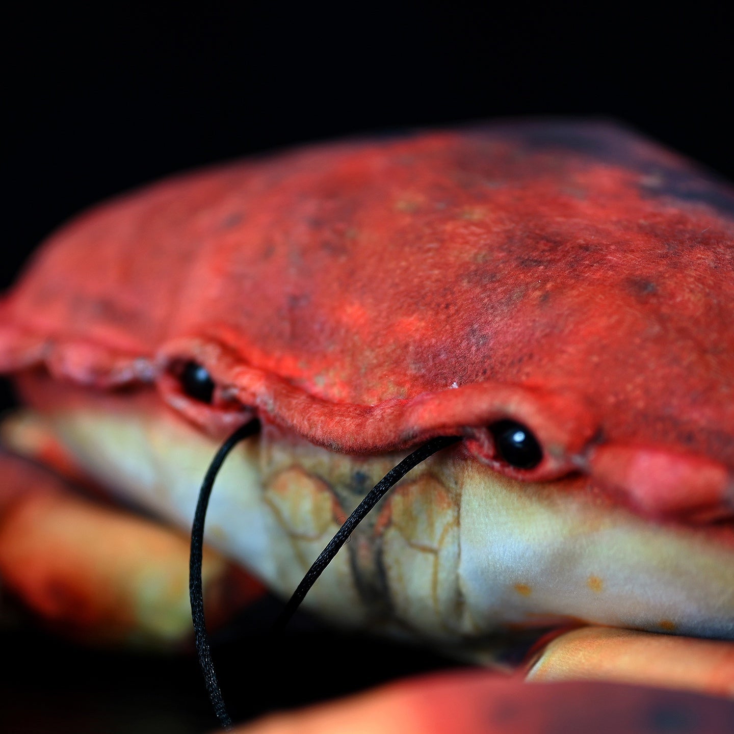 Simulated Plush Ginkgo Crab Plush Toy — detail
