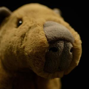 Simulation Capybara Plush Toy Doll | Magic Stories
