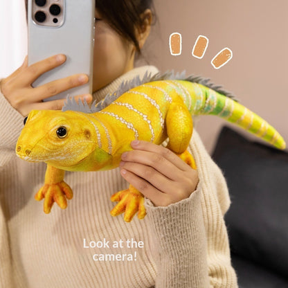 Lizard Plush Toy, Bearded Dragon, Reptile | Magic Stories