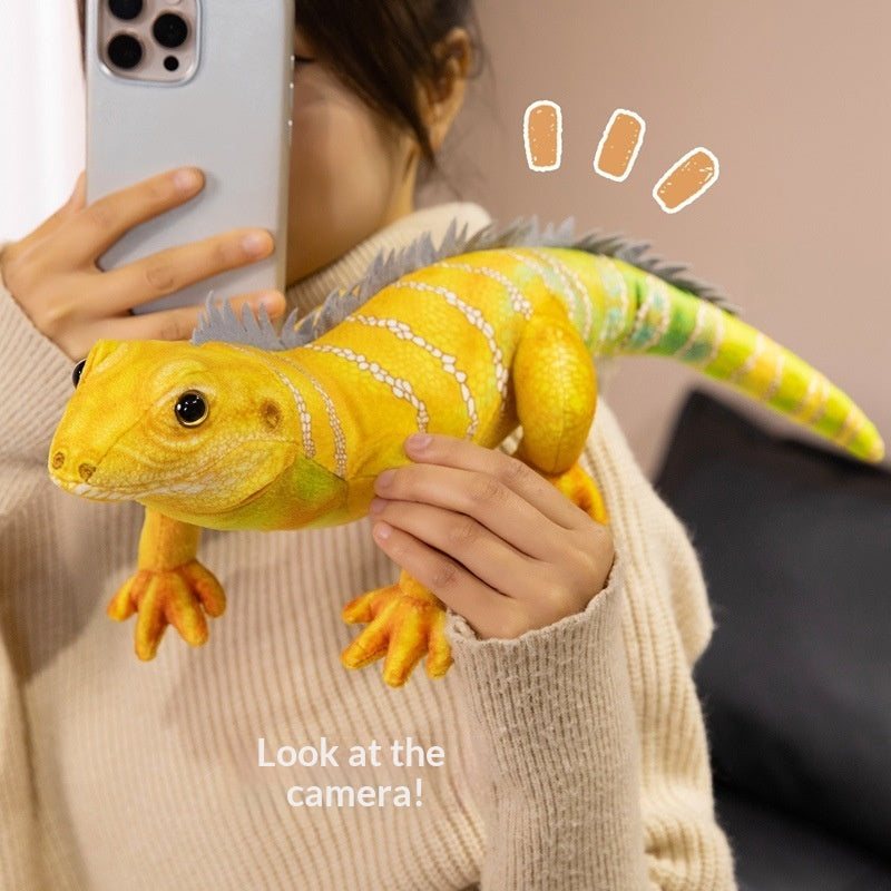 Lizard Plush Toy, Bearded Dragon, Reptile | Magic Stories