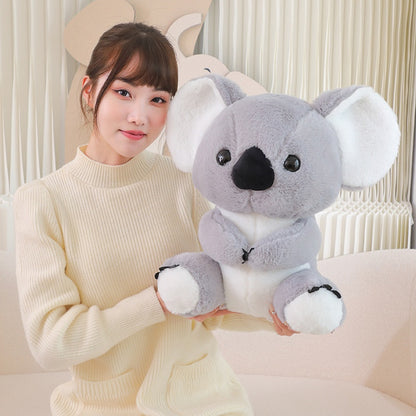 Australian Koala Koalas Soft Plush Toy | Magic Stories