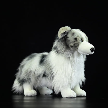 Border Collie Simulation Plush Toy | Magic Stories