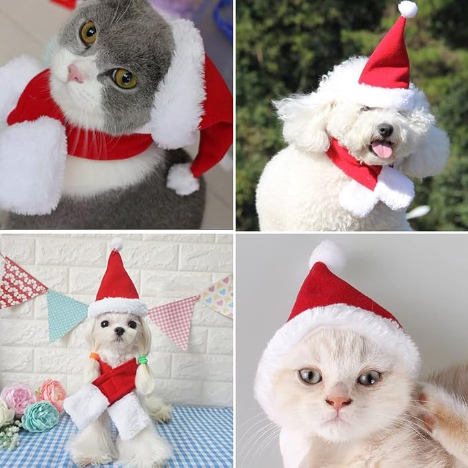 2-Piece Christmas Cat Costume Set, Festive | Magic Stories