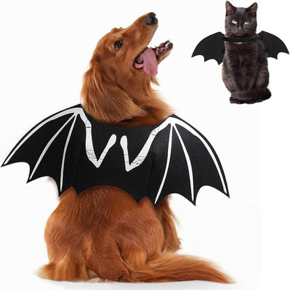 Pet Halloween Costume 3-Piece — Headless Horseman Dog Costume, Skeleton Bat Dog Costume & Spider Pet Costume