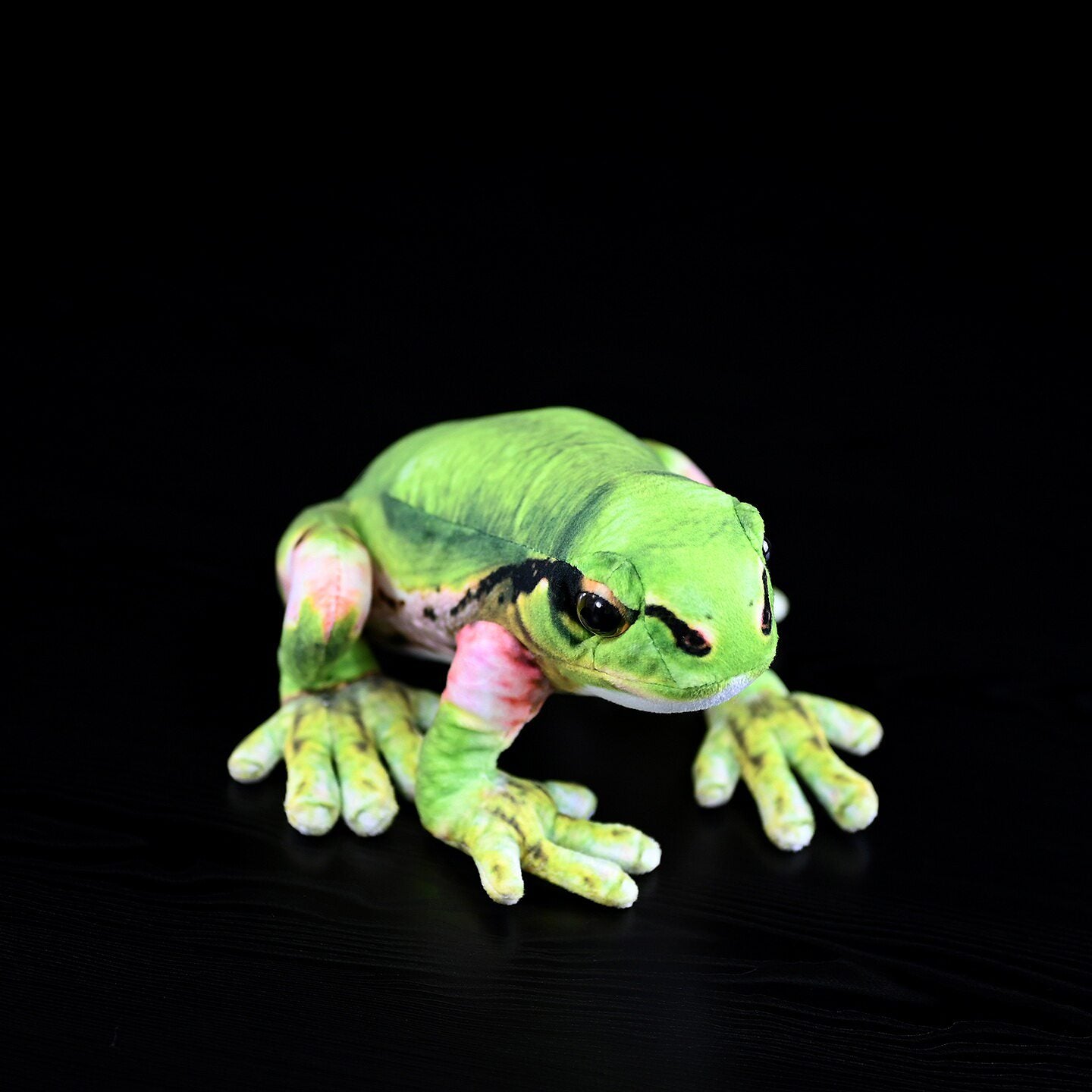 Northeast Rain Frog Plush Toy Japanese Tree Frog — back view