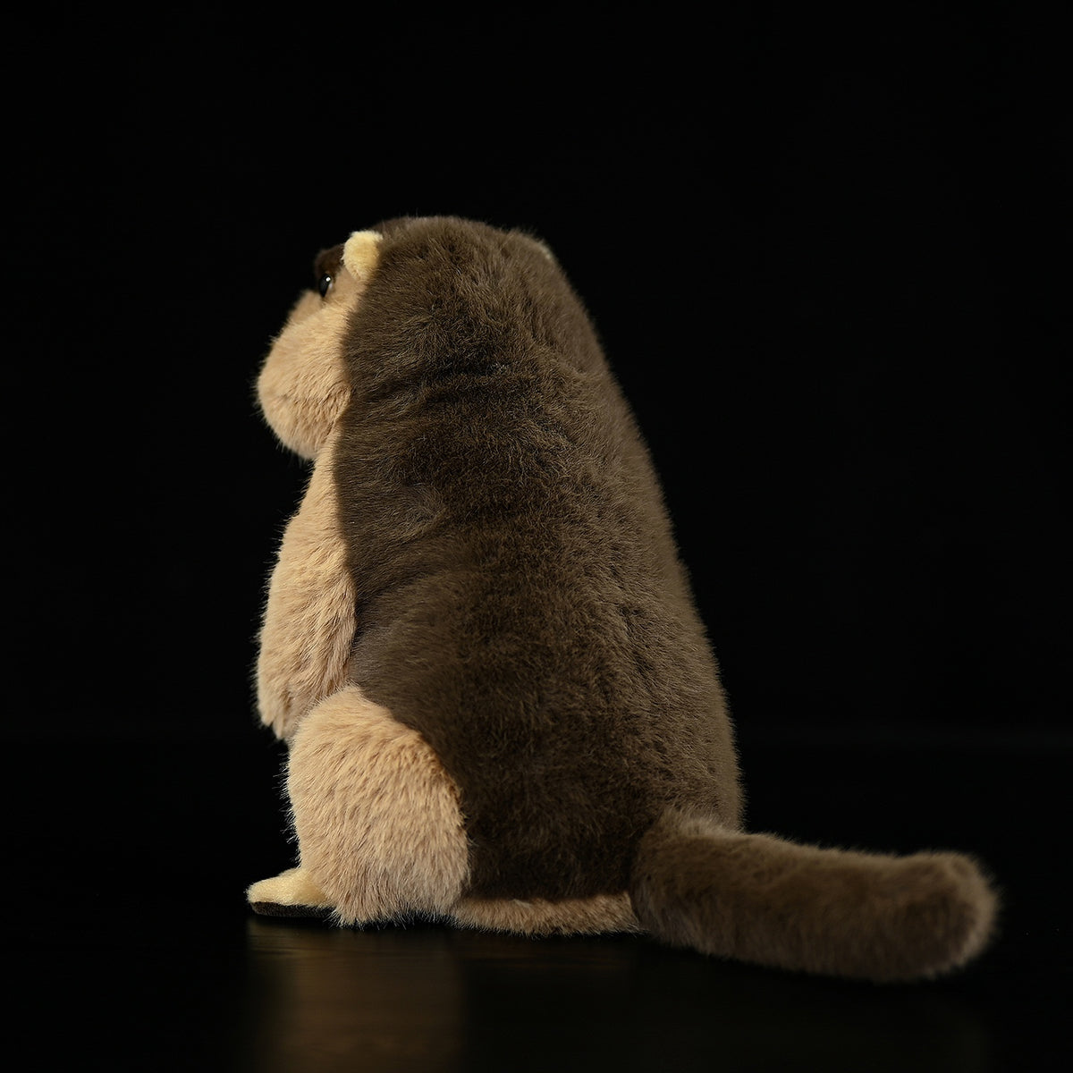 Squirrel Small Animal Plush Home Decoration | Magic Stories
