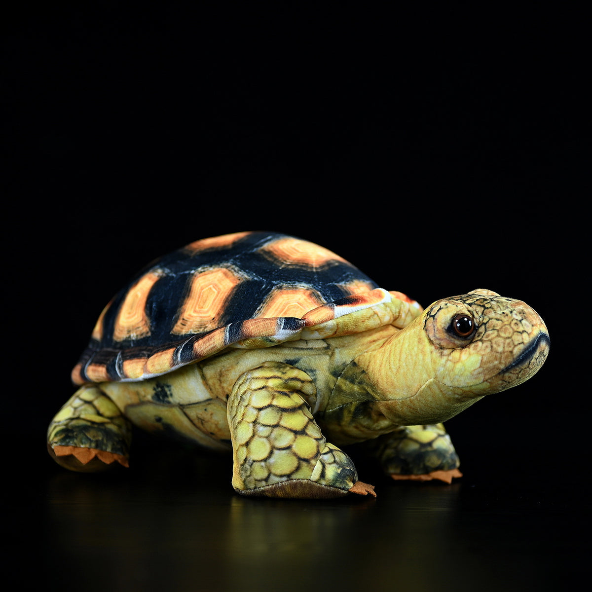 Simulated Land Turtle Doll Cute Turtle Doll | Magic Stories