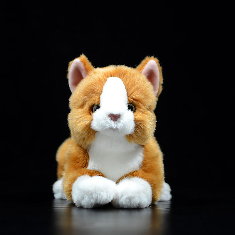 Cute Pure White Cat Plush Toy Cute | Magic Stories