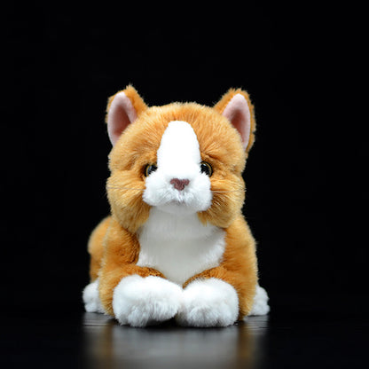 Cute Pure White Cat Plush Toy Cute | Magic Stories