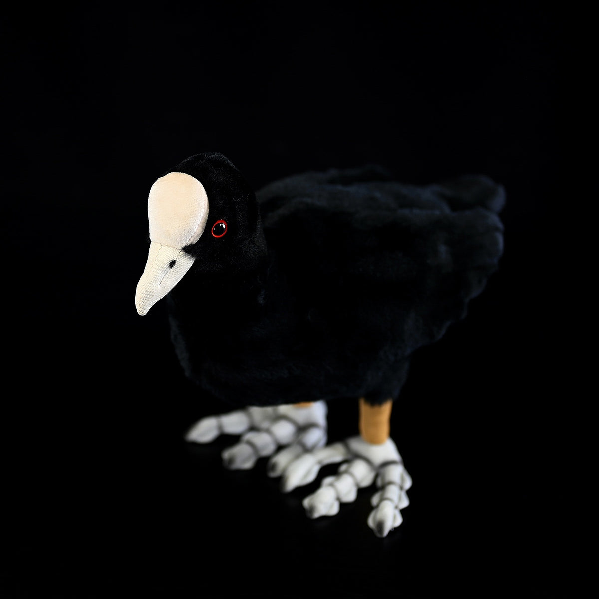 Coot Plush Toy Cute White-crowned Coon Plush | Magic Stories