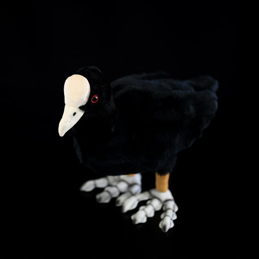 Coot Plush Toy Cute White-crowned Coon Plush Doll