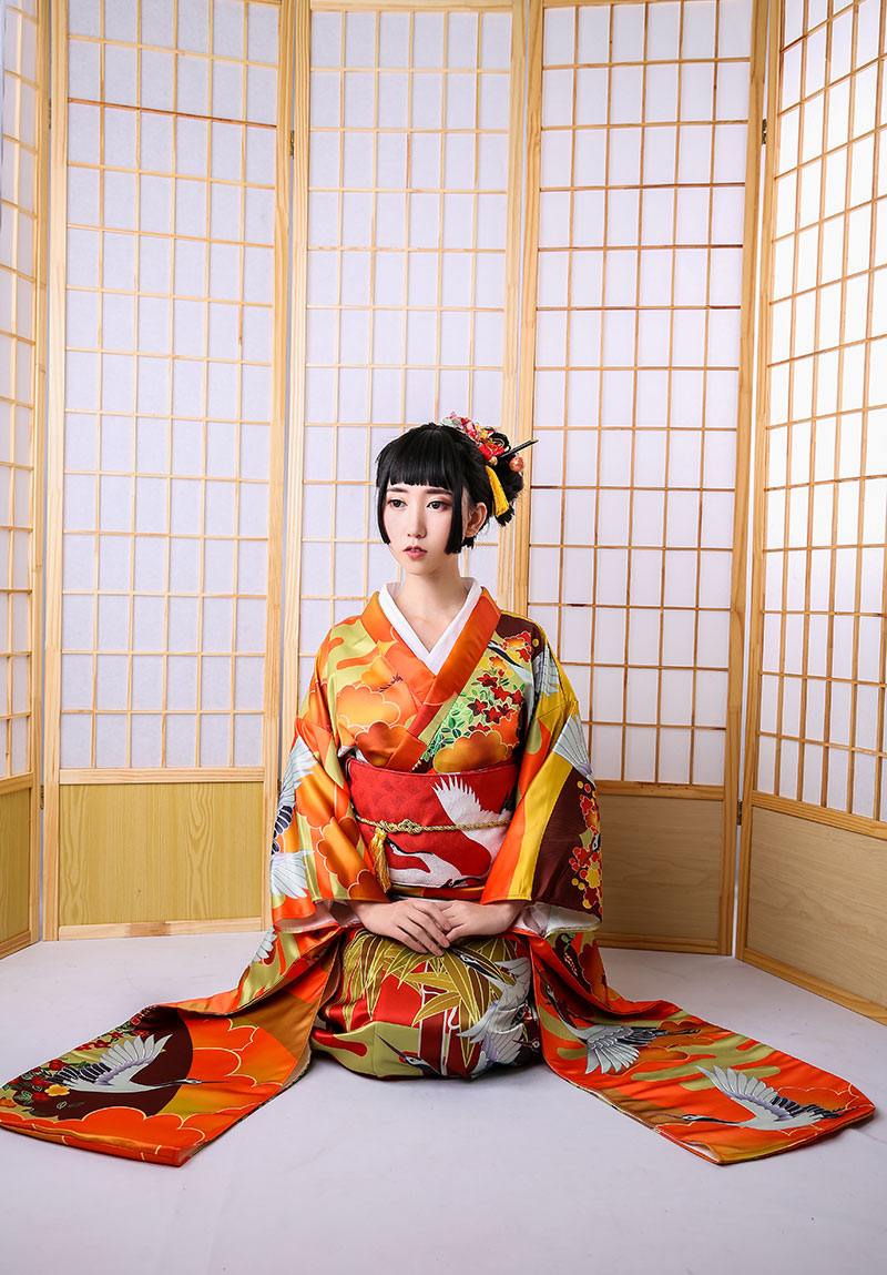 Auspicious Clouds And Cranes Jinxiutu Kimono Formal Dress — back view