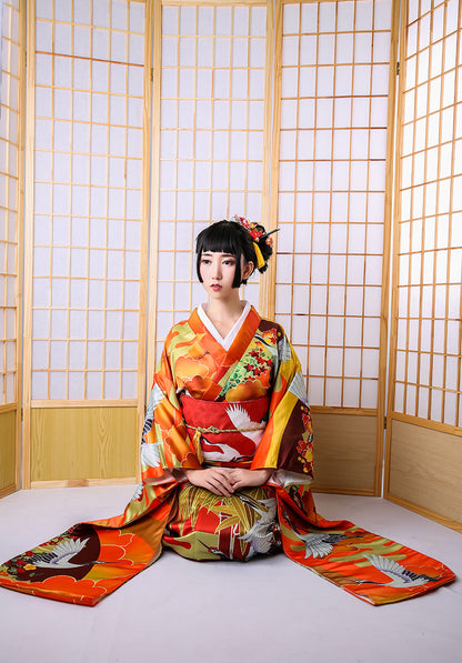 Auspicious Clouds And Cranes Jinxiutu Kimono Formal Dress — back view