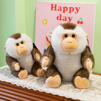 Cute Beiwei Dolphin Monkey Plush Toy | Magic Stories