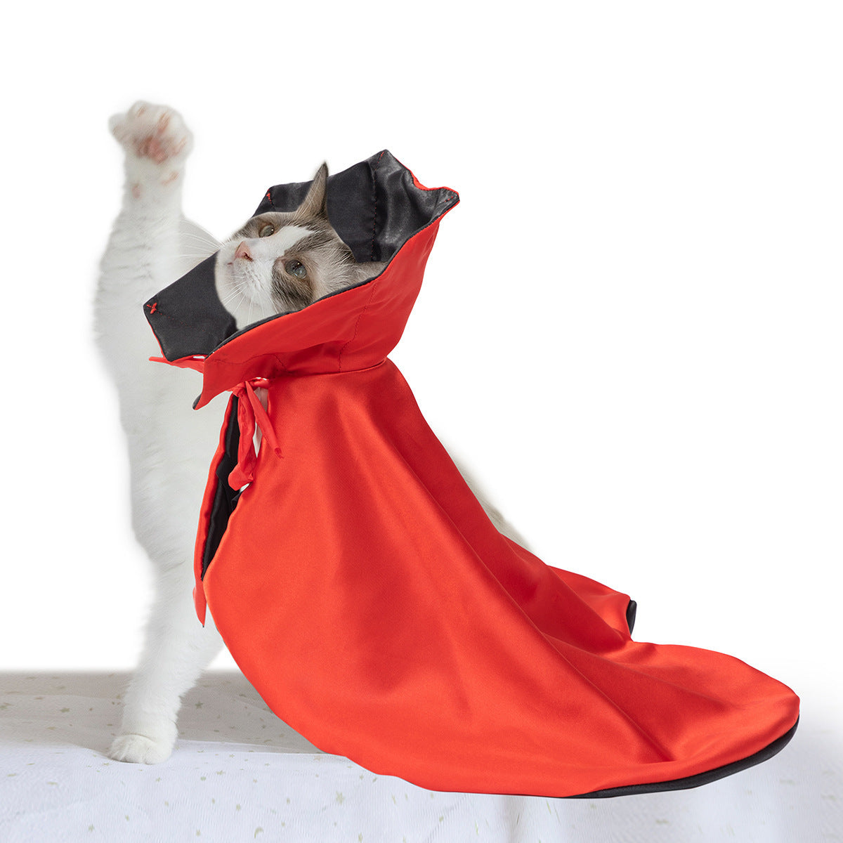 Pet Halloween Cloak — scale reference