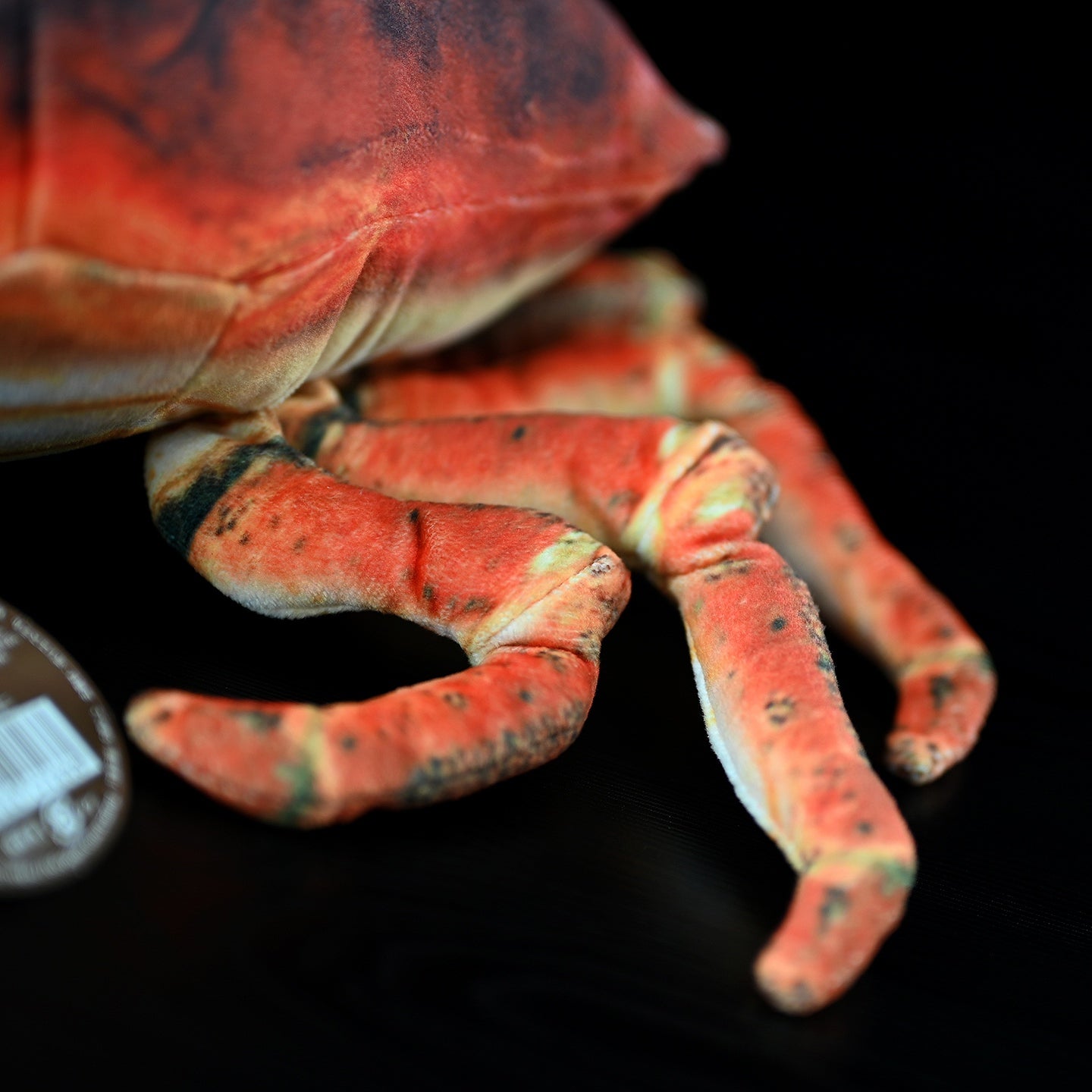 Simulated Plush Ginkgo Crab Plush Toy — in use