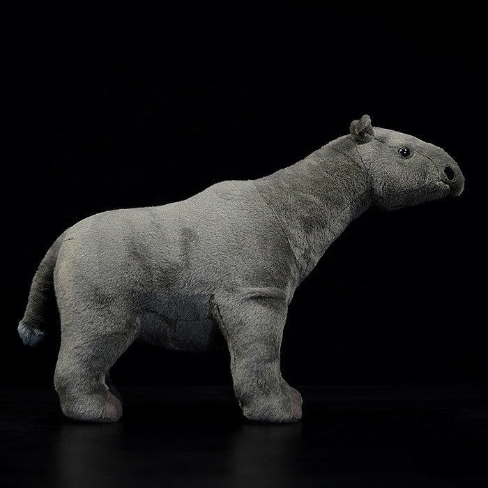 Paleontology Series Oligocene Giant | Magic Stories