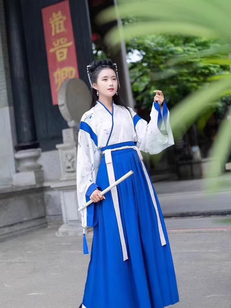 Changan Hometown Wei Jin Style Hanfu Womens ChineseStyle Daily Ancient Costume — detail
