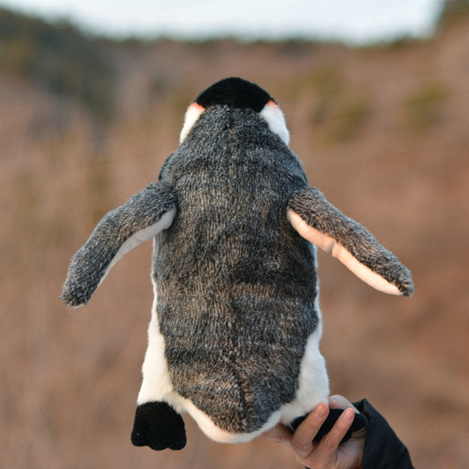 Simulation Emperor Penguin Antarctic Penguin | Magic Stories