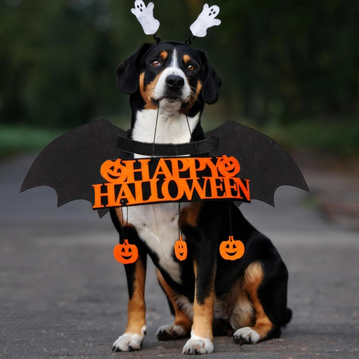 Dog Halloween Costumes Dog Bat Costume Cool Luminous Skeleton Bone Bat Wings Pets Cosplay Costumes Dress Up — side view